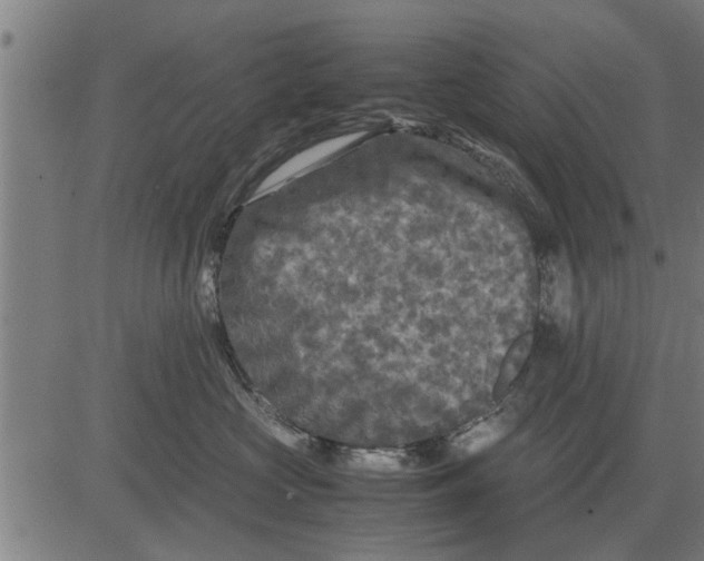 X0000081450573200702021745