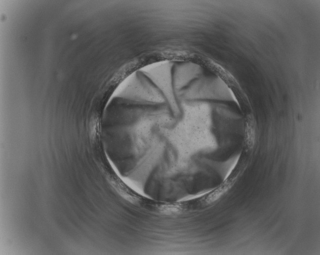 X0000081450574200702021745