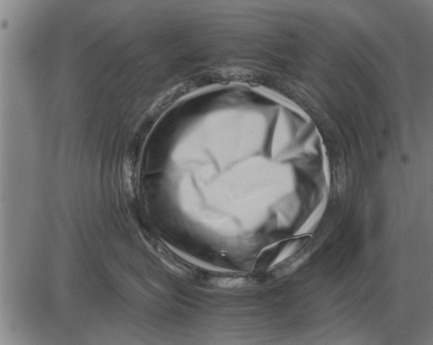 X0000081450575200702021745