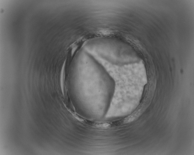 X0000081450576200702021745