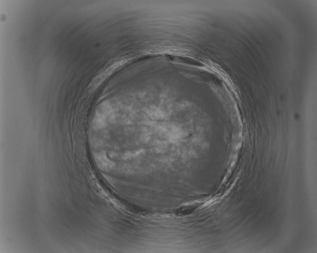 X0000081450577200702021744