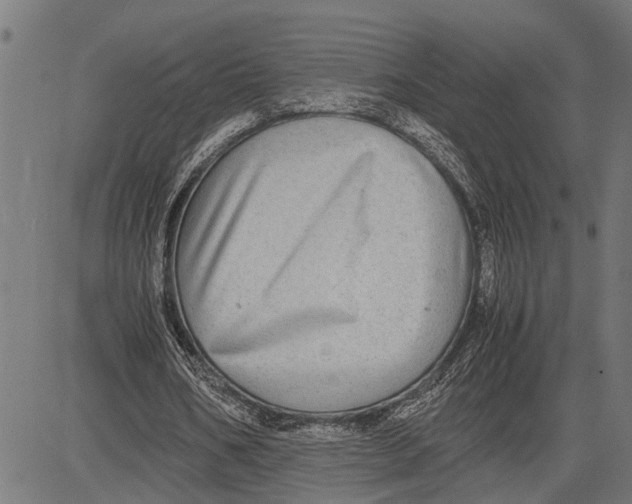 X0000081450578200702021744