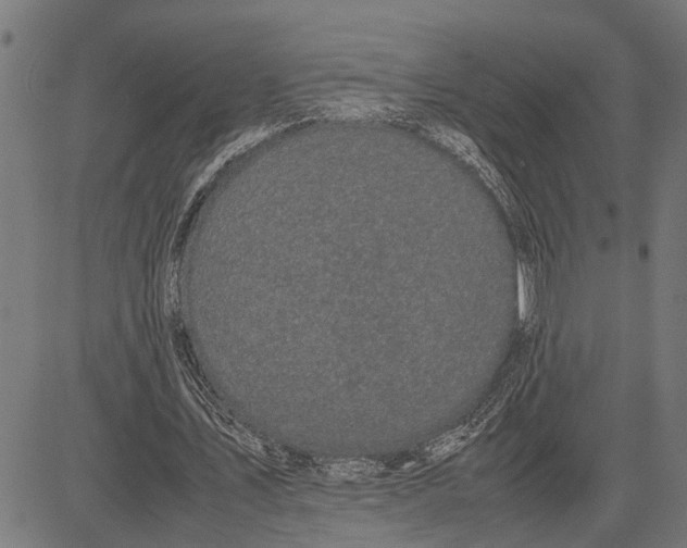 X0000081450579200702021744