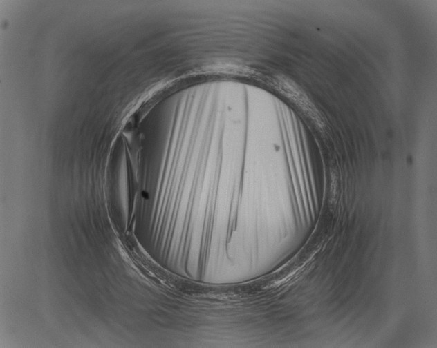 X0000081450580200702021744