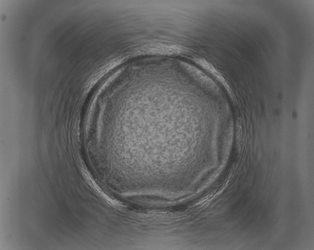 X0000081450581200702021744