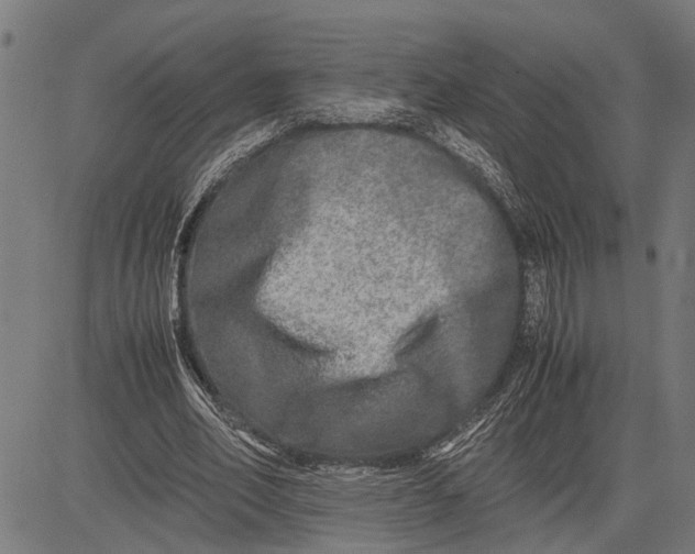 X0000081450582200702021744