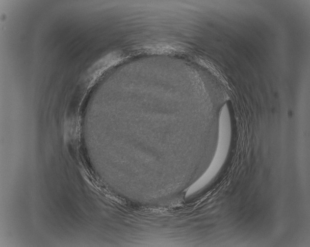 X0000081450583200702021744