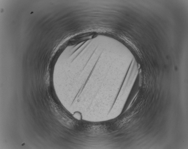 X0000081450584200702021744