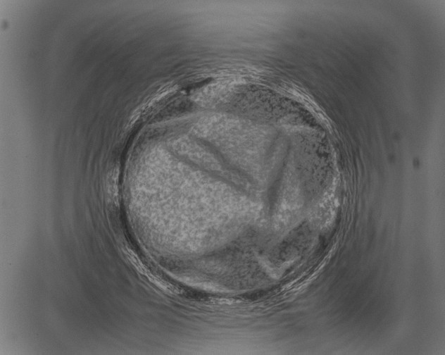 X0000081450585200702021744