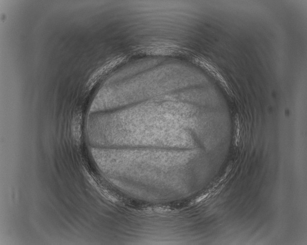 X0000081450586200702021744