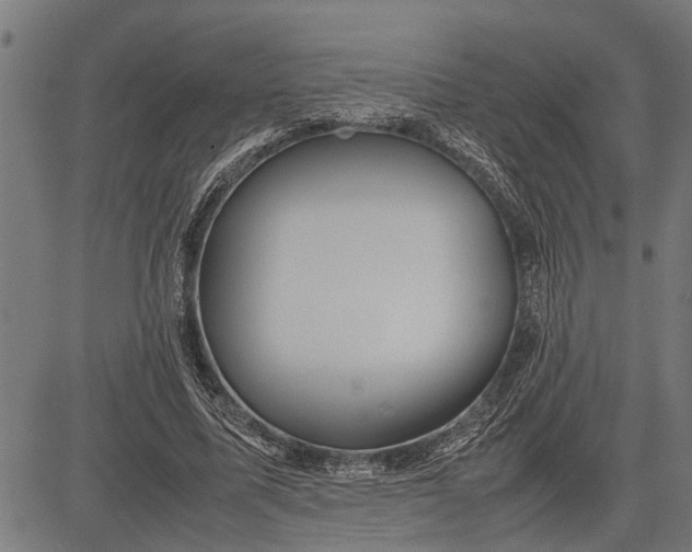 X0000081450587200702021744