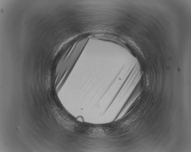 X0000081450588200702021744