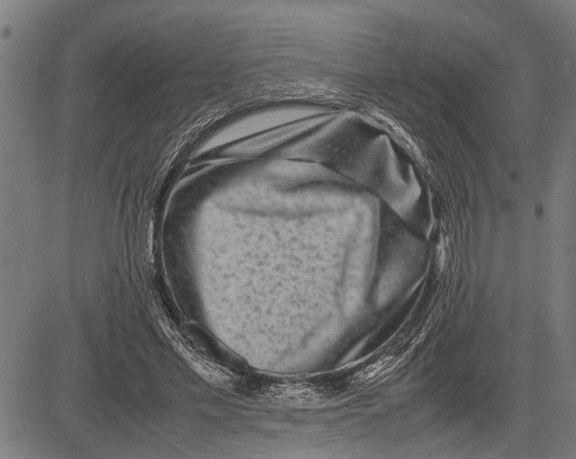 X0000081450589200702021744