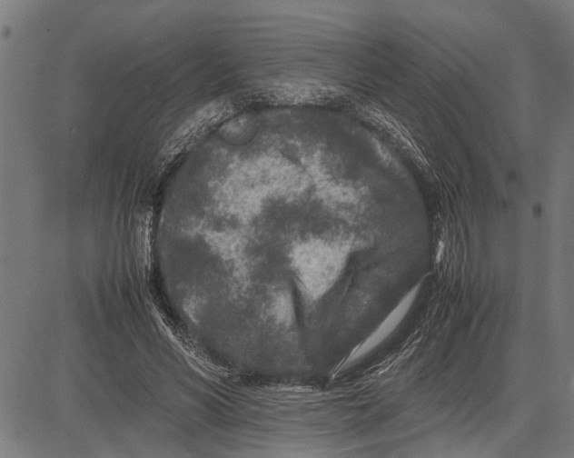 X0000081450590200702021744