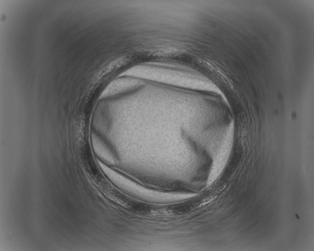 X0000081450591200702021744