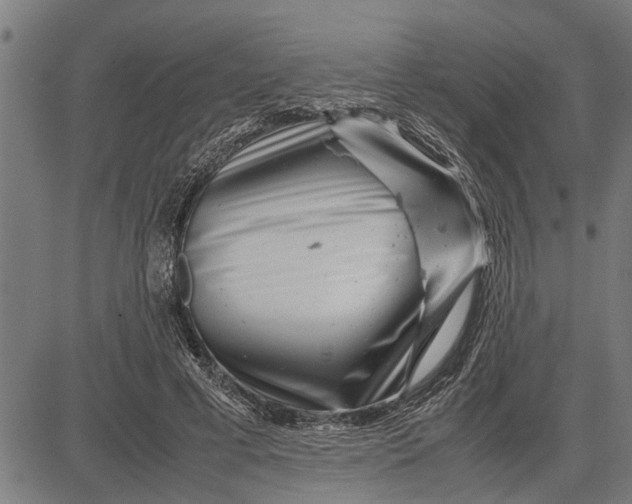 X0000081450593200702021744