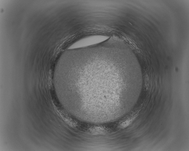 X0000081450594200702021744