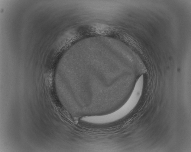 X0000081450595200702021744