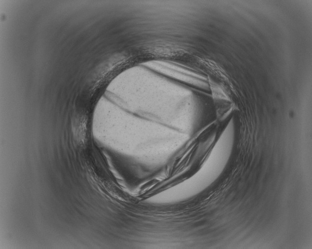 X0000081450596200702021744