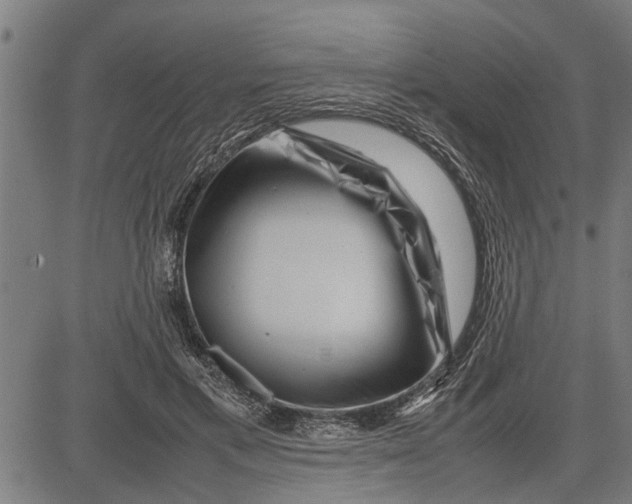 X0000081450597200702021744