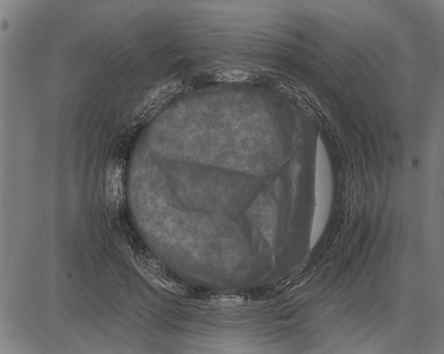 X0000081450598200702021744