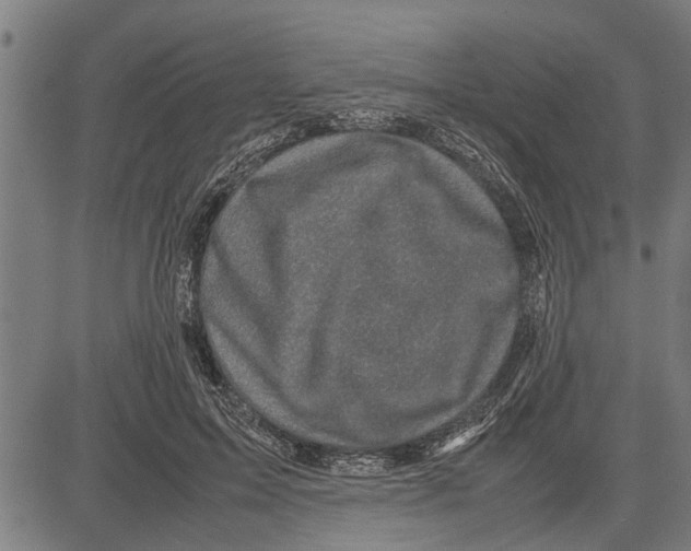 X0000081450599200702021744