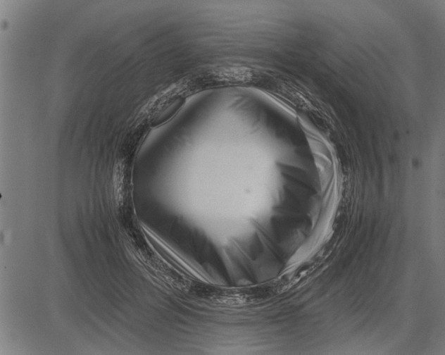 X0000081450600200702021744