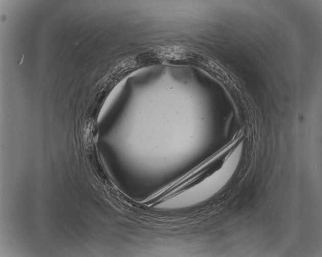 X0000081450601200702021744