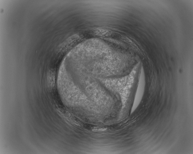 X0000081450602200702021744