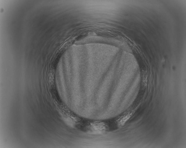 X0000081450603200702021744