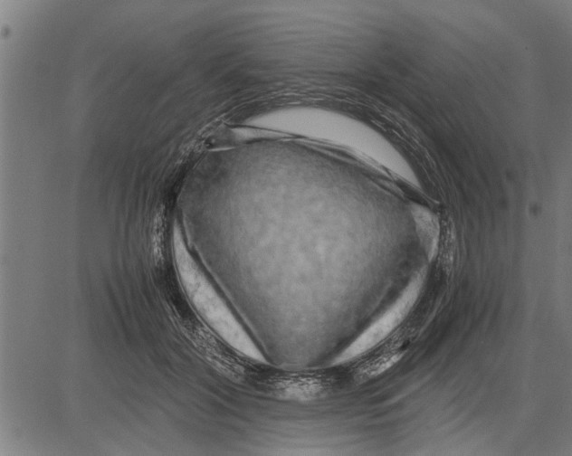 X0000081450604200702021744