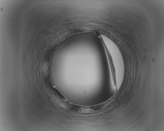 X0000081450605200702021744