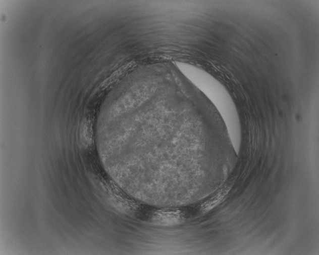 X0000081450606200702021744