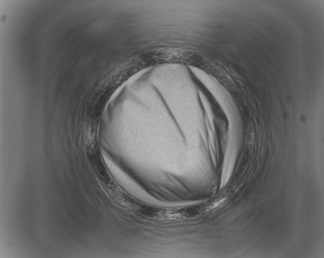 X0000081450607200702021744