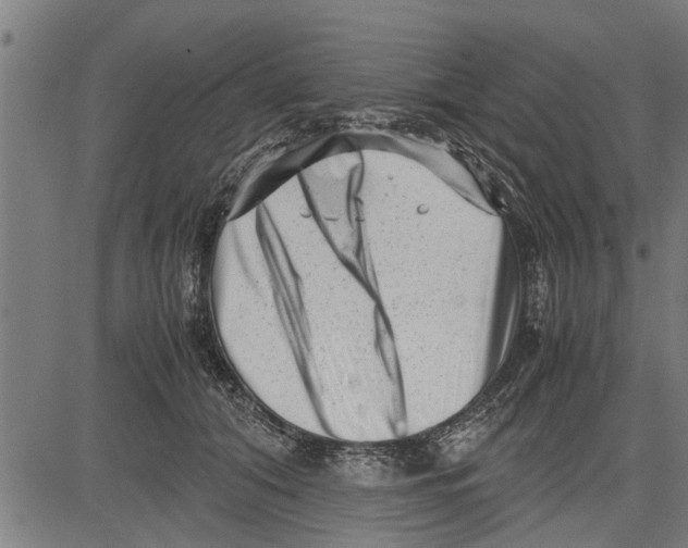 X0000081450608200702021744