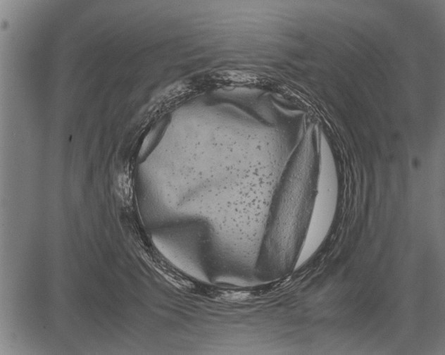 X0000081450609200702021744