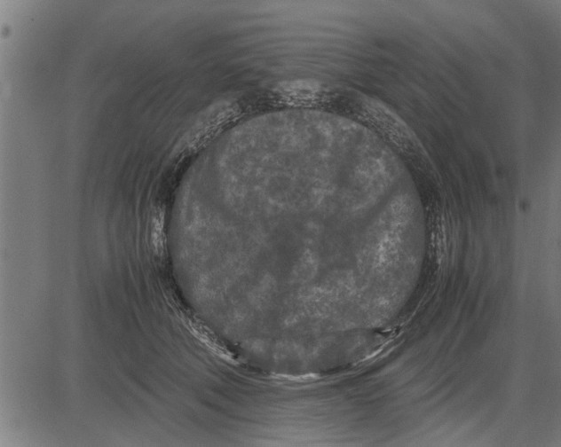 X0000081450610200702021744