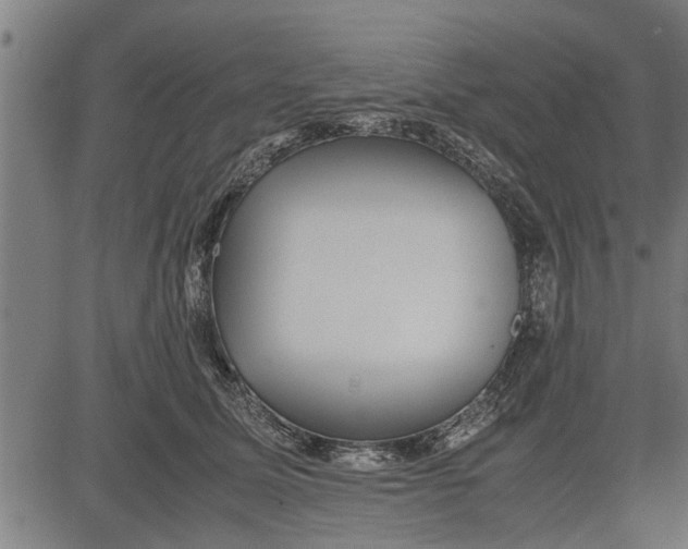 X0000081450611200702021744