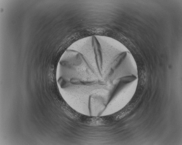 X0000081450612200702021744