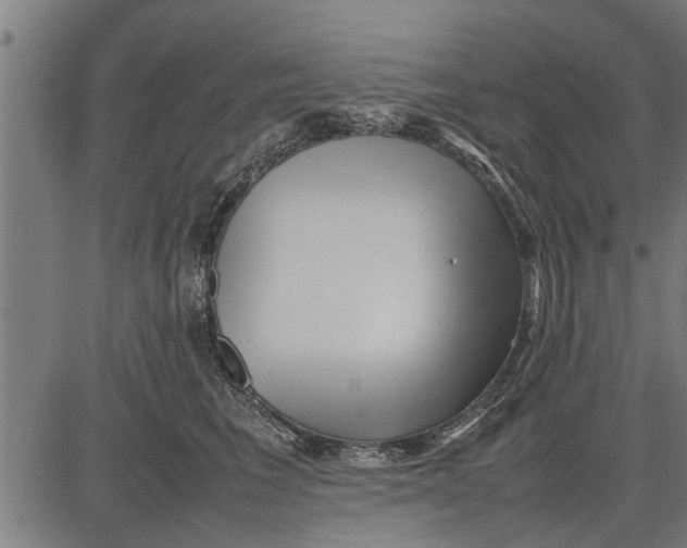 X0000081450613200702021744