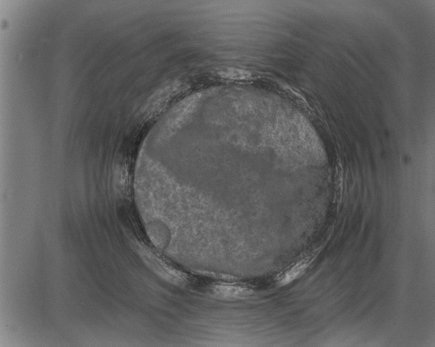 X0000081450614200702021744