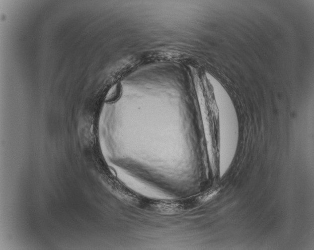 X0000081450615200702021744