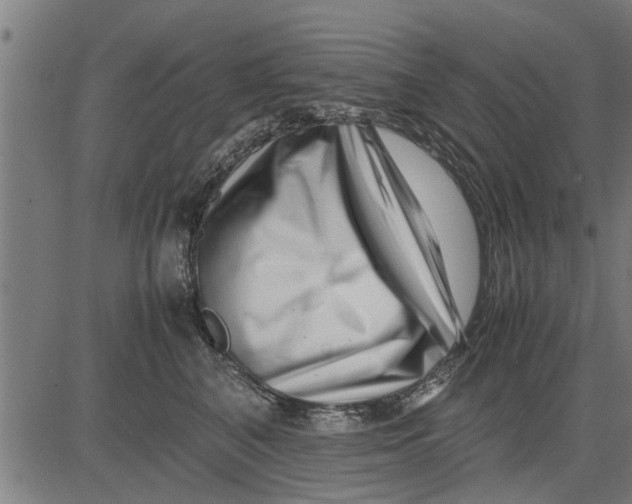 X0000081450616200702021744