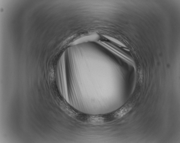 X0000081450617200702021744