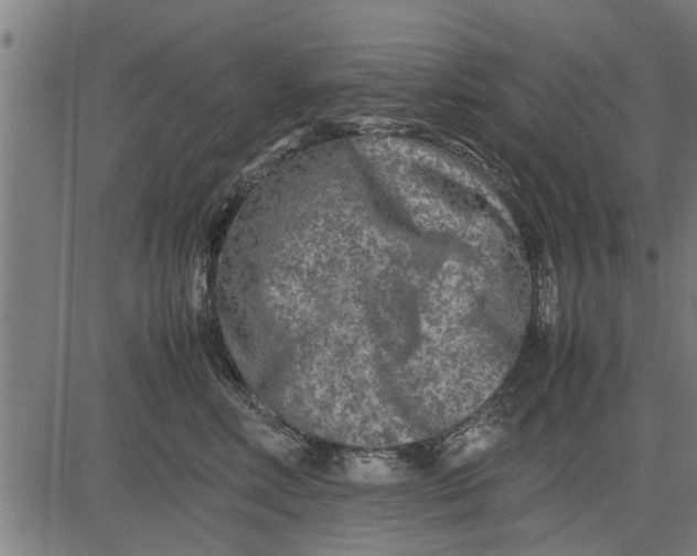 X0000081450618200702021744