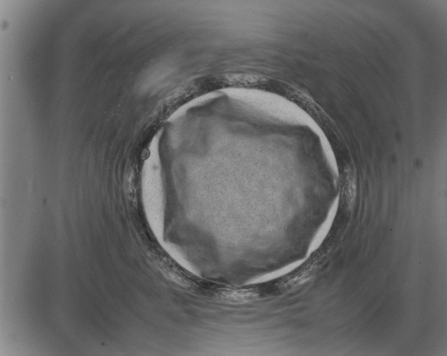 X0000081450619200702021744