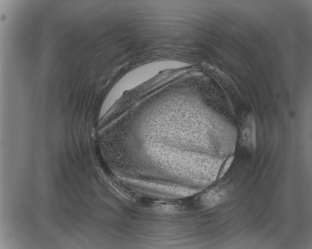 X0000081450620200702021744