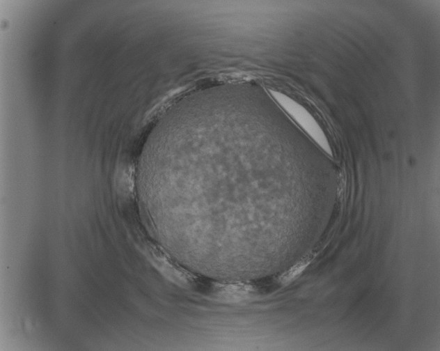 X0000081450621200702021744