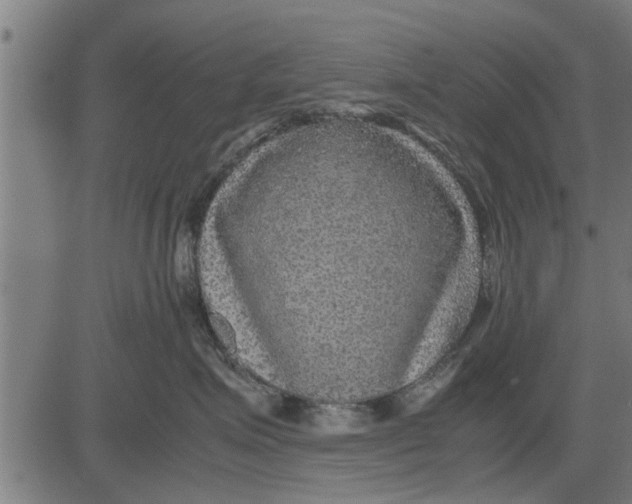 X0000081450623200702021744