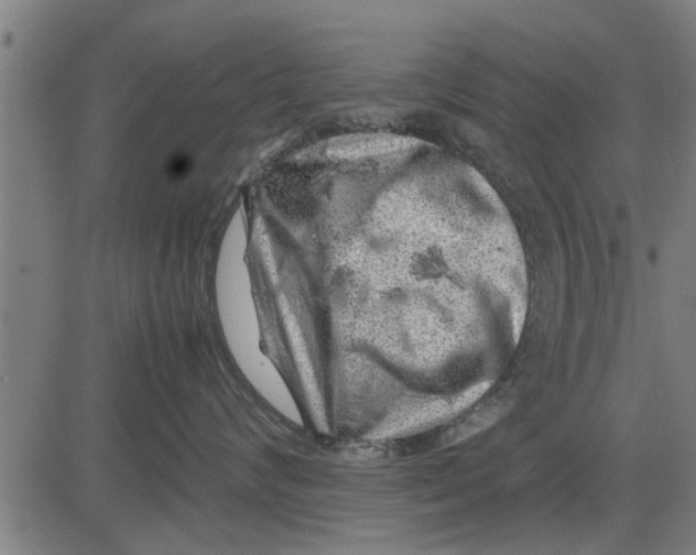 X0000081450624200702021744